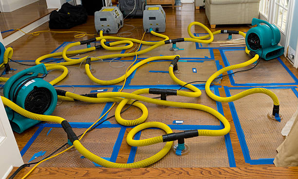 Professional Crawl Space Water Removal technician working in Inwood, IA